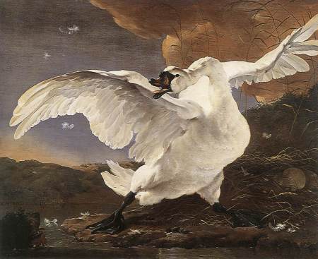 Jan Asselijn - "The Threatened Swan" 